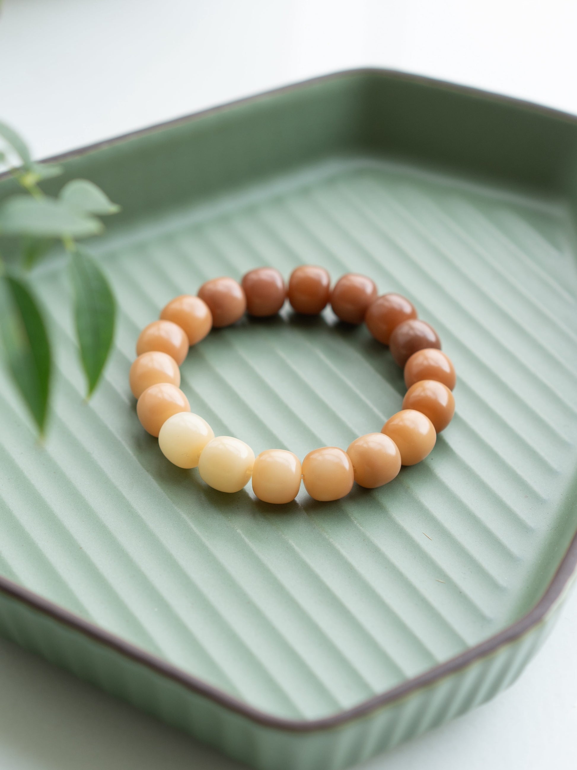 Zen Ombré Bodhi Bracelet - Latte Brown